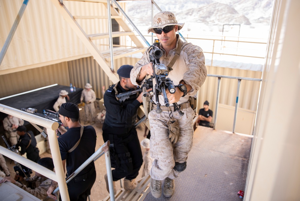 Invincible Sentry 23 CQB training