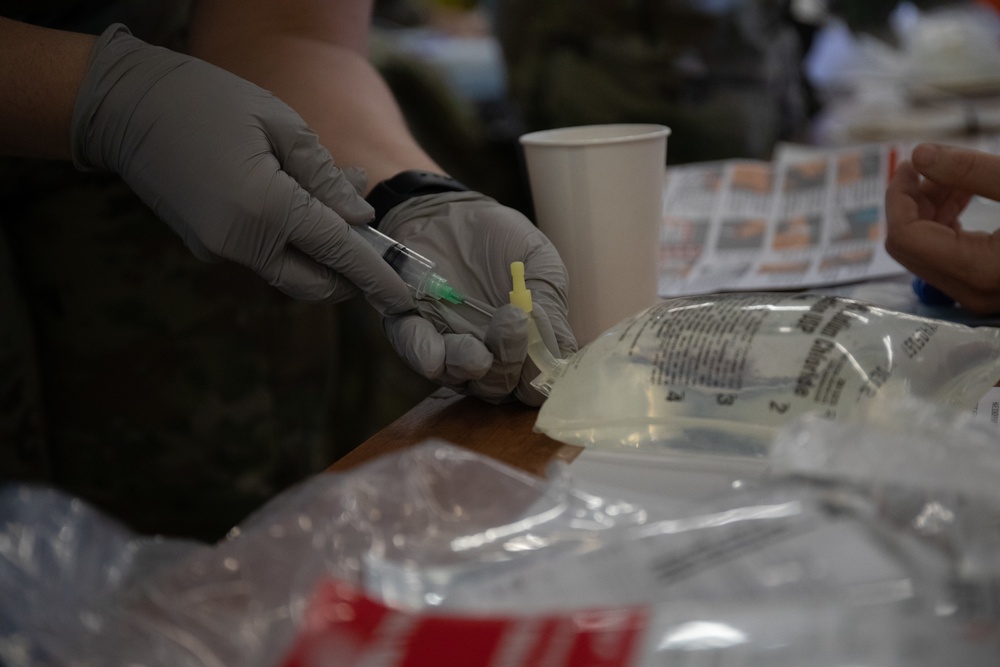 SETAF-AF medics conduct blood transfusion training