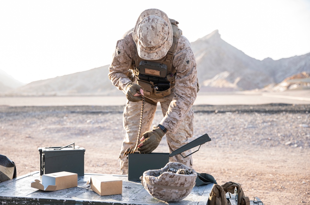 IS23 Machine Gun Range