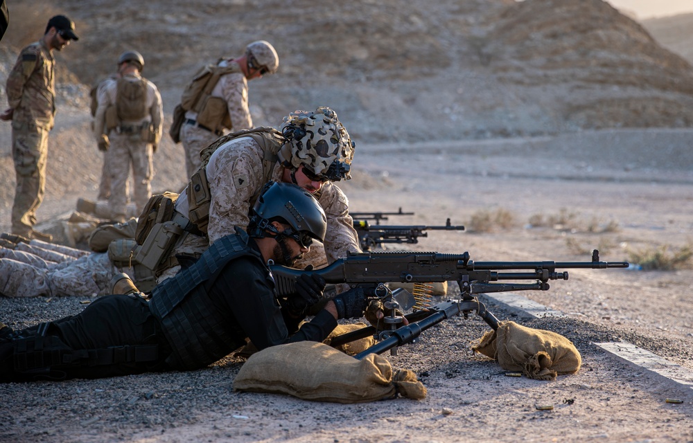 IS23 Machine Gun Range