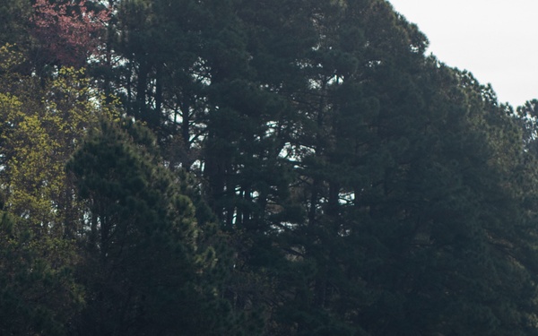 Lima Company Crucible