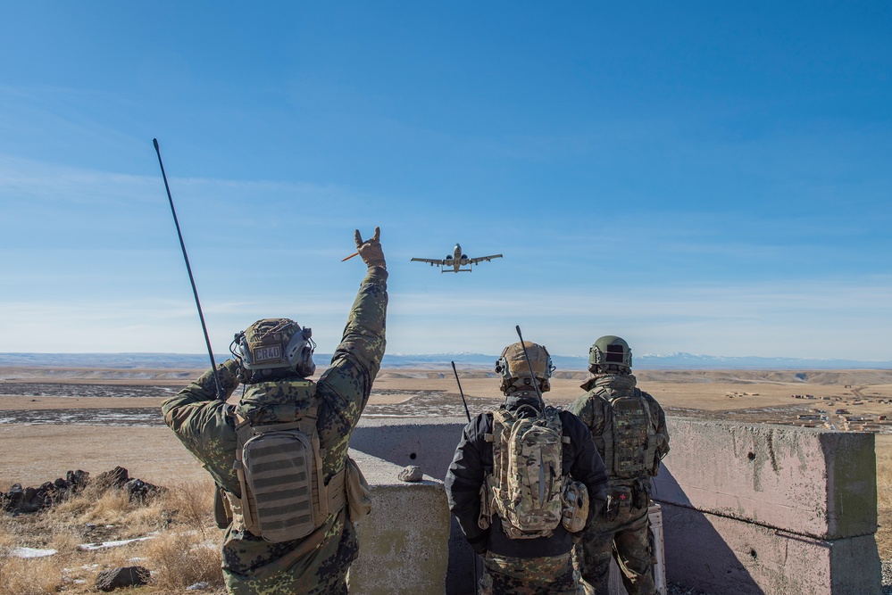 German soldiers train with Idaho Air National Guard A-10 pilots