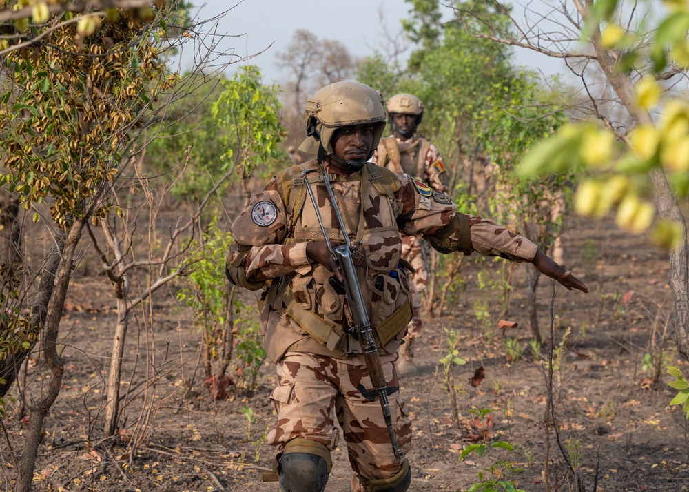 Cameroon, Chad conduct patrol and KLE training