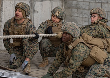 U.S. Marines with 3rd Maintenance Battalion and Republic of Korea Marines maneuver obstacle courses together during Korean Marine Exercise Program