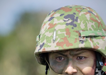 Iron Fist 23: USAF and JGSDF conduct island seizure training