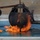 325 CES Conducts Burn Pit Training