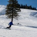 366th Fighter Wing Wing Ski Day