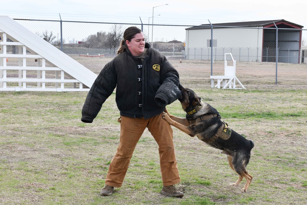 MWDs recognized for “pawsome” contributions during K-9 Veterans Day