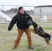 MWDs recognized for “pawsome” contributions during K-9 Veterans Day