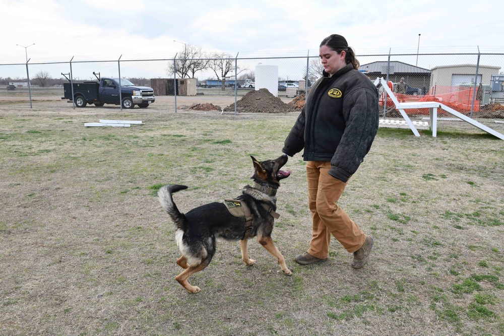 MWDs recognized for “pawsome” contributions during K-9 Veterans Day