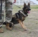 MWDs recognized for “pawsome” contributions during K-9 Veterans Day