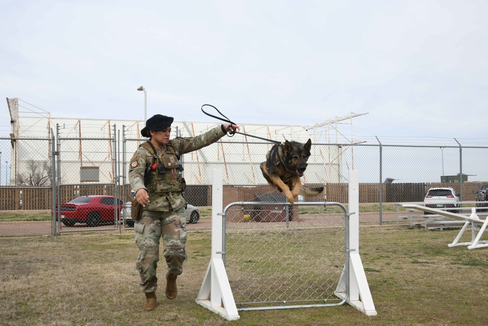 MWDs recognized for “pawsome” contributions during K-9 Veterans Day