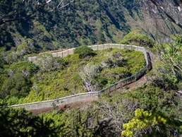 Pacific Missile Range Facility (PMRF)  Conducts Seabird Colony Site Tour in Honopu Valley