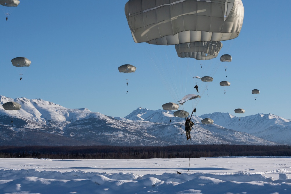 Ladies of 11th Airborne leap during all-women jump