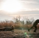 71st EOD Group Team of the Year Competition - Fitness Test