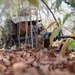 Tunisia, Morocco conduct ambush training