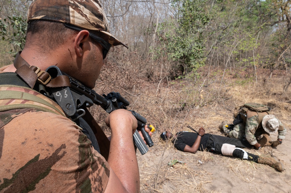 Tunisia, Morocco conduct ambush training