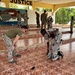 Cutlass Express 2023 participants conduct VBSS training in Djibouti