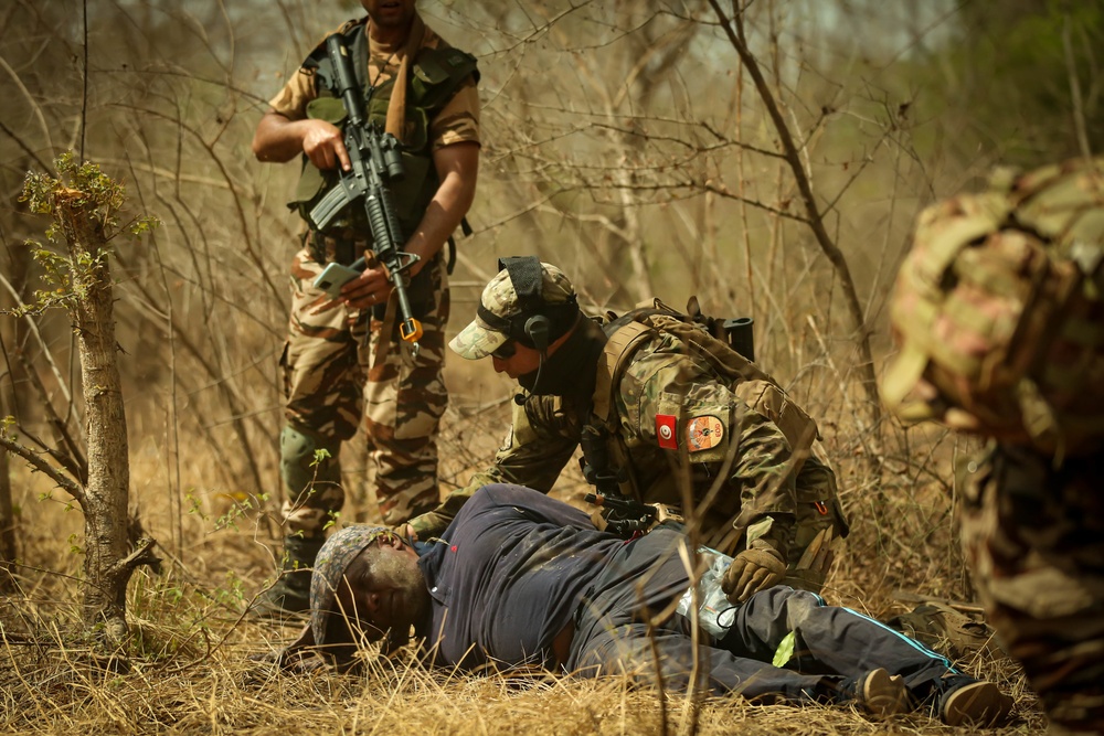 Tunisian and Moroccan Armed Forces conduct Patrolling and Ambush Training