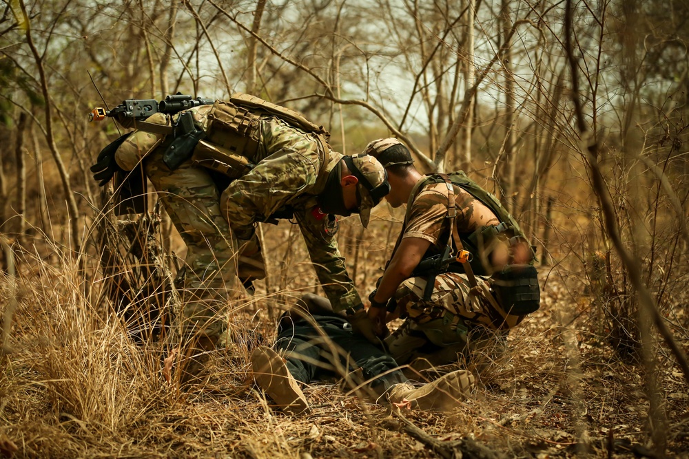 Tunisian and Moroccan Armed Forces conduct Patrolling and Ambush Training