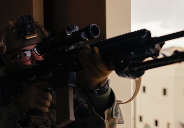 MLR-TE 3d LCT Force-On-Force