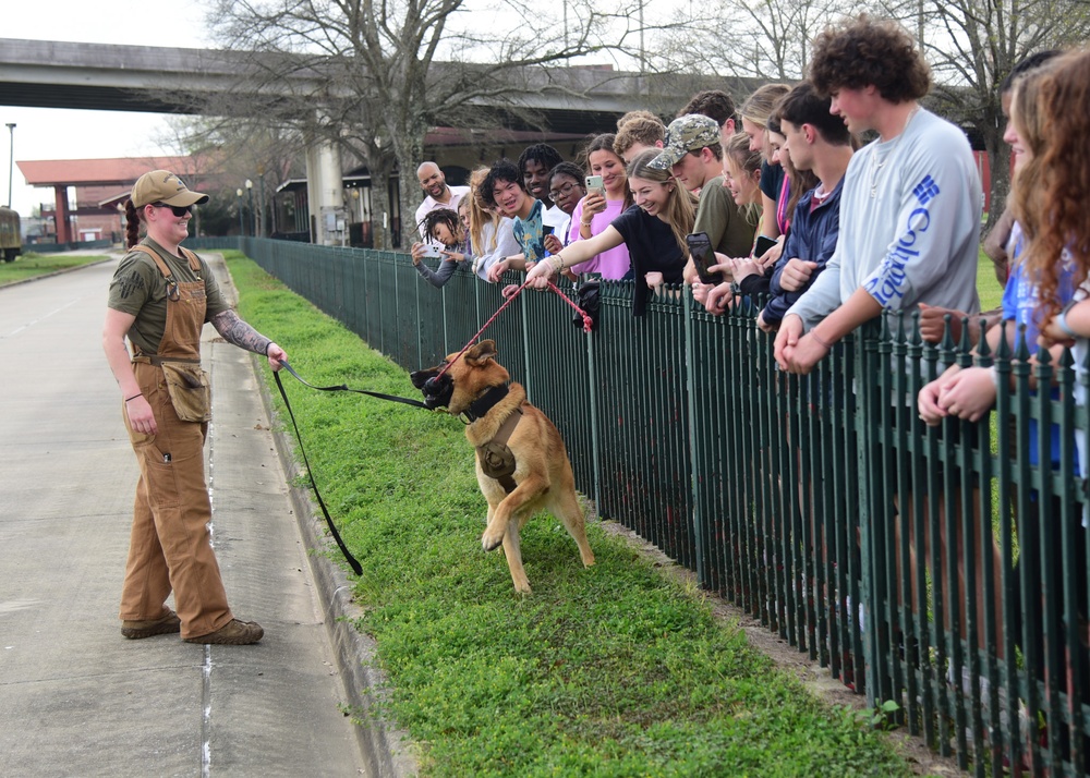 MWD Demonstration