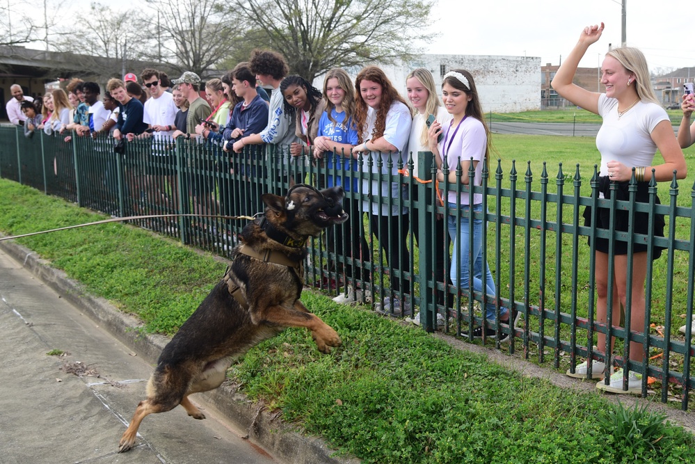 MWD Demonstration