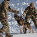 Air Force military working dog teams sharpen skills at JBER, Alaska