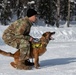 Air Force military working dog teams sharpen skills at JBER, Alaska