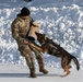 Air Force military working dog teams sharpen skills at JBER, Alaska