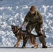 Air Force military working dog teams sharpen skills at JBER, Alaska