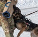 Air Force military working dog teams sharpen skills at JBER, Alaska