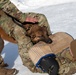 Air Force military working dog teams sharpen skills at JBER, Alaska