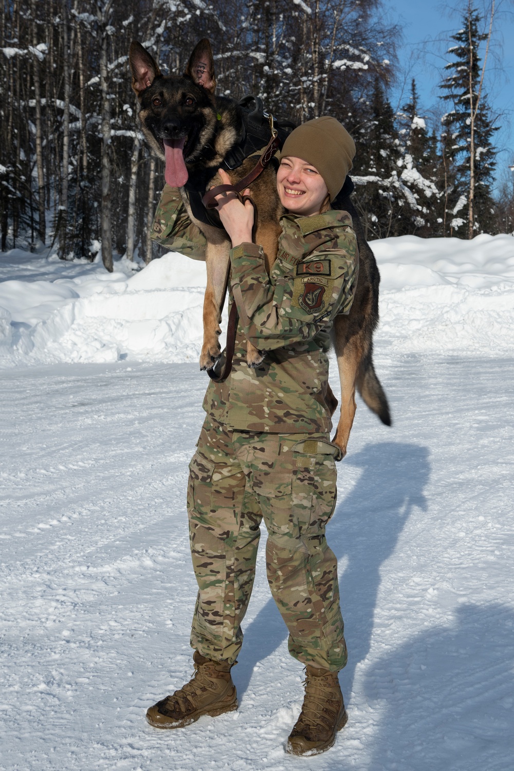 Air Force military working dog teams sharpen skills at JBER, Alaska