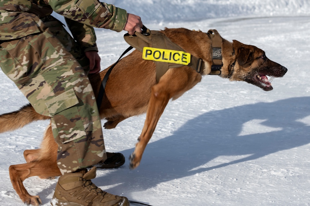 Air Force military working dog teams sharpen skills at JBER, Alaska