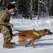 Air Force military working dog teams sharpen skills at JBER, Alaska