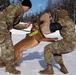 Air Force military working dog teams sharpen skills at JBER, Alaska