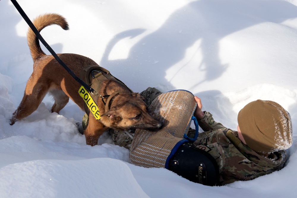 Air Force military working dog teams sharpen skills at JBER, Alaska