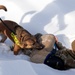 Air Force military working dog teams sharpen skills at JBER, Alaska