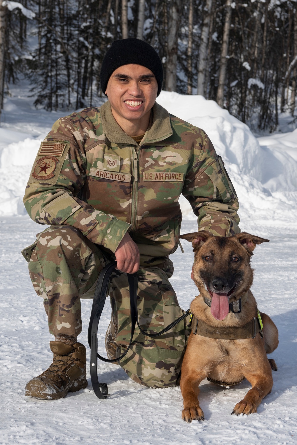 Air Force military working dog teams sharpen skills at JBER, Alaska