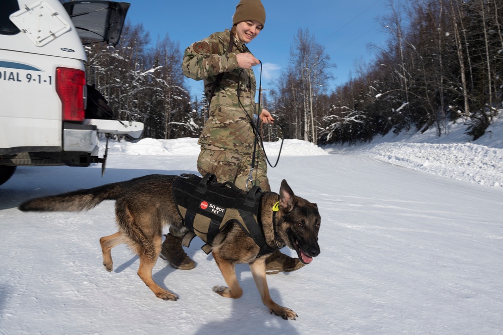 Air Force military working dog teams sharpen skills at JBER, Alaska