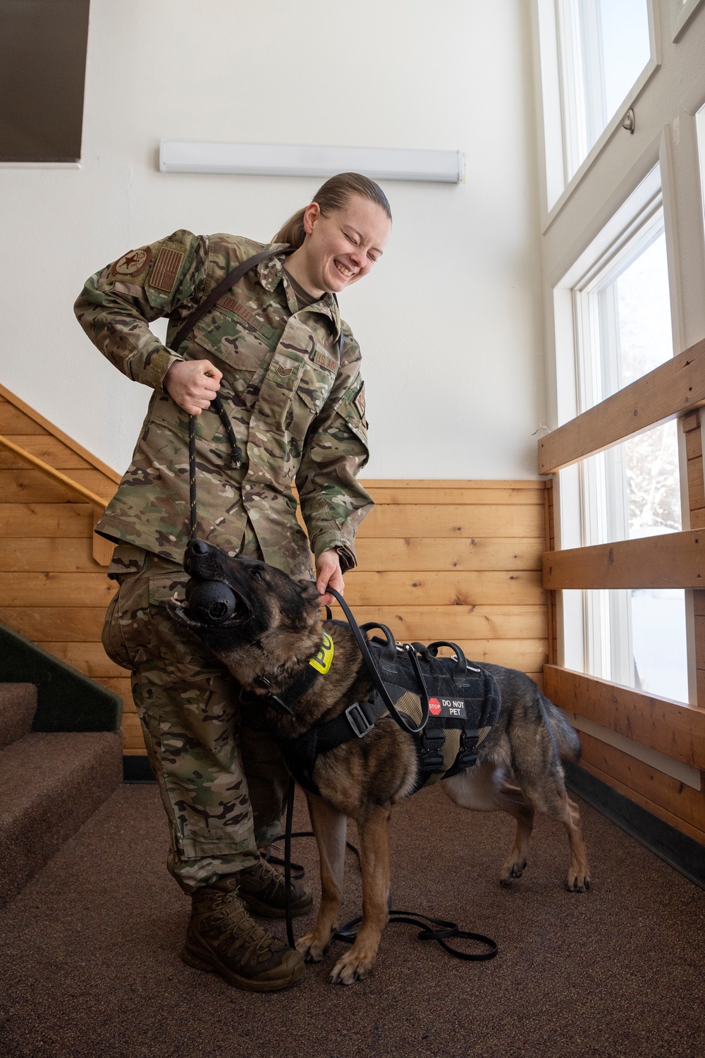 Air Force military working dog teams sharpen skills at JBER, Alaska