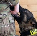 Air Force military working dog teams sharpen skills at JBER, Alaska