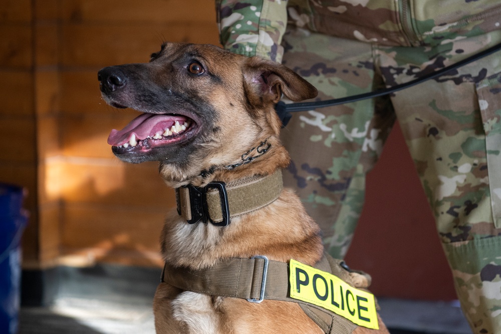 Air Force military working dog teams sharpen skills at JBER, Alaska