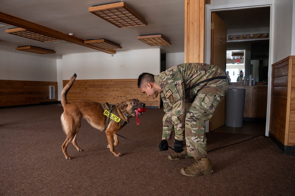 Air Force military working dog teams sharpen skills at JBER, Alaska