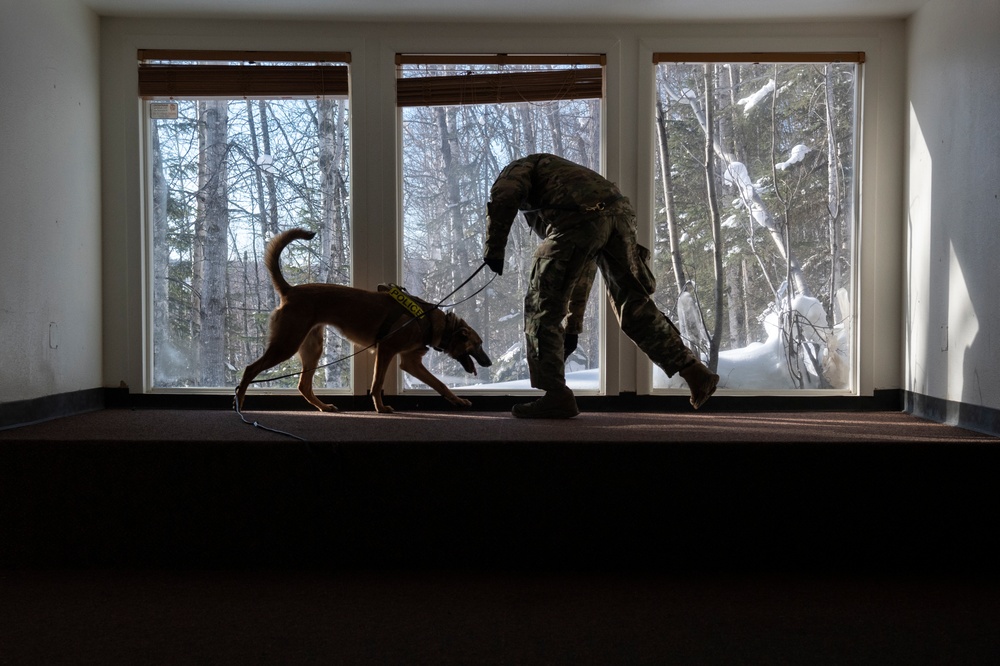 Air Force military working dog teams sharpen skills at JBER, Alaska