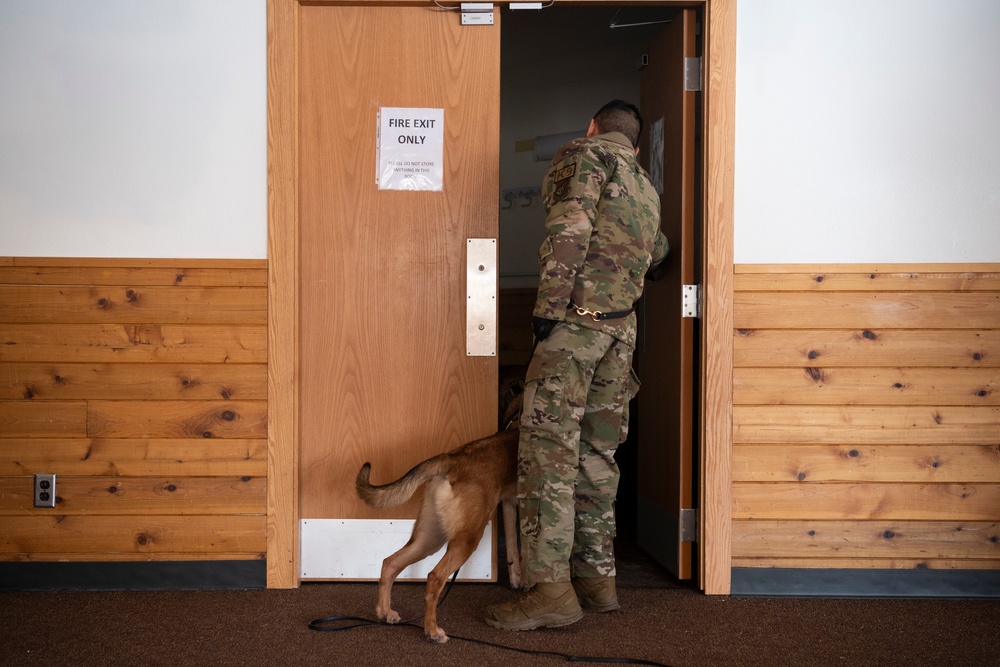 Air Force military working dog teams sharpen skills at JBER, Alaska