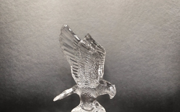 FORSCOM Safety Award Ceremony