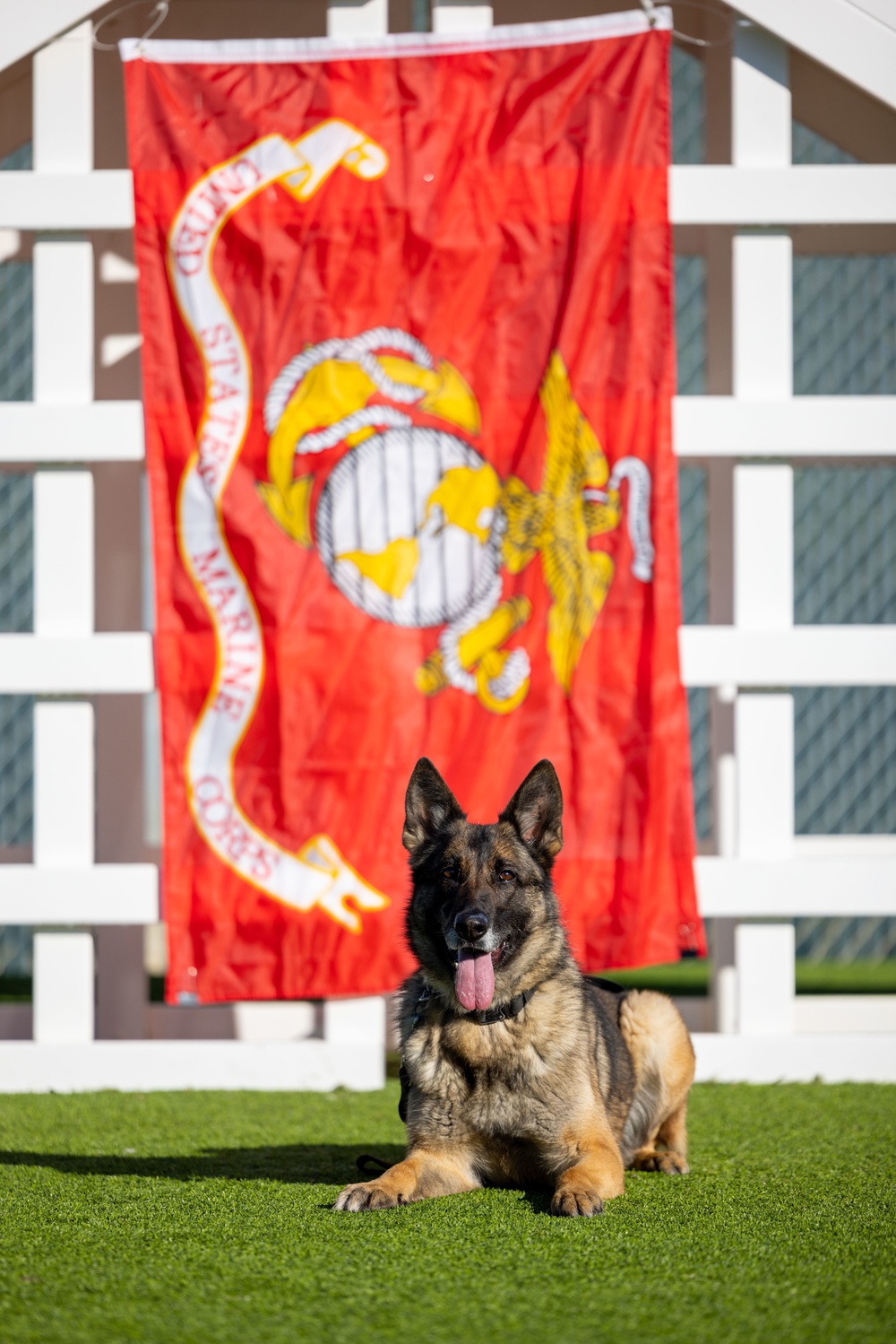 Camp Pendleton celebrates National K9 Veterans Day