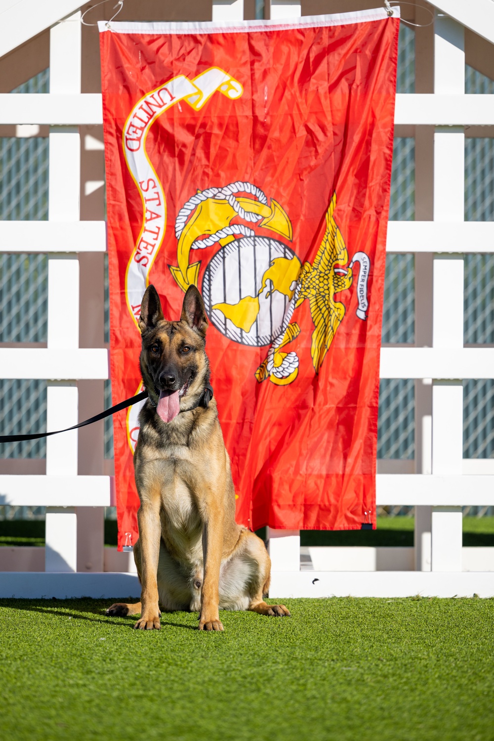 Camp Pendleton celebrates National K9 Veterans Day